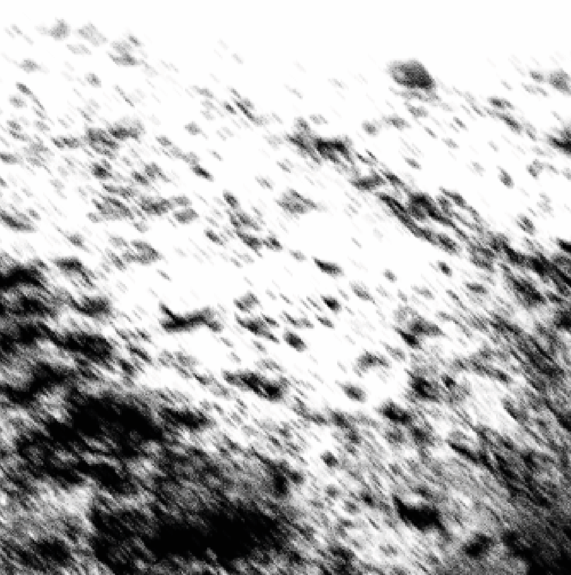 RSN - Detail